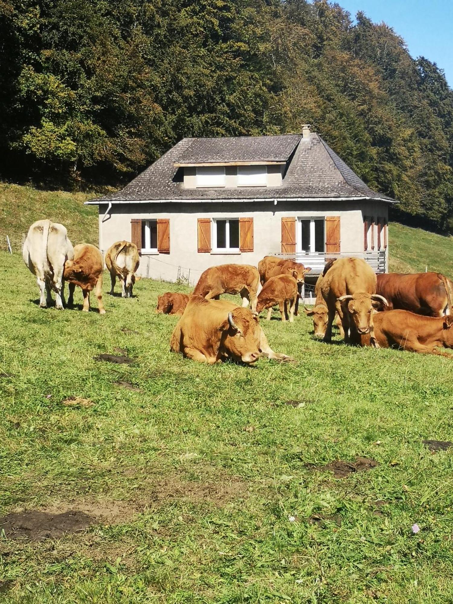 Villa Tourmalet Campan Exterior foto